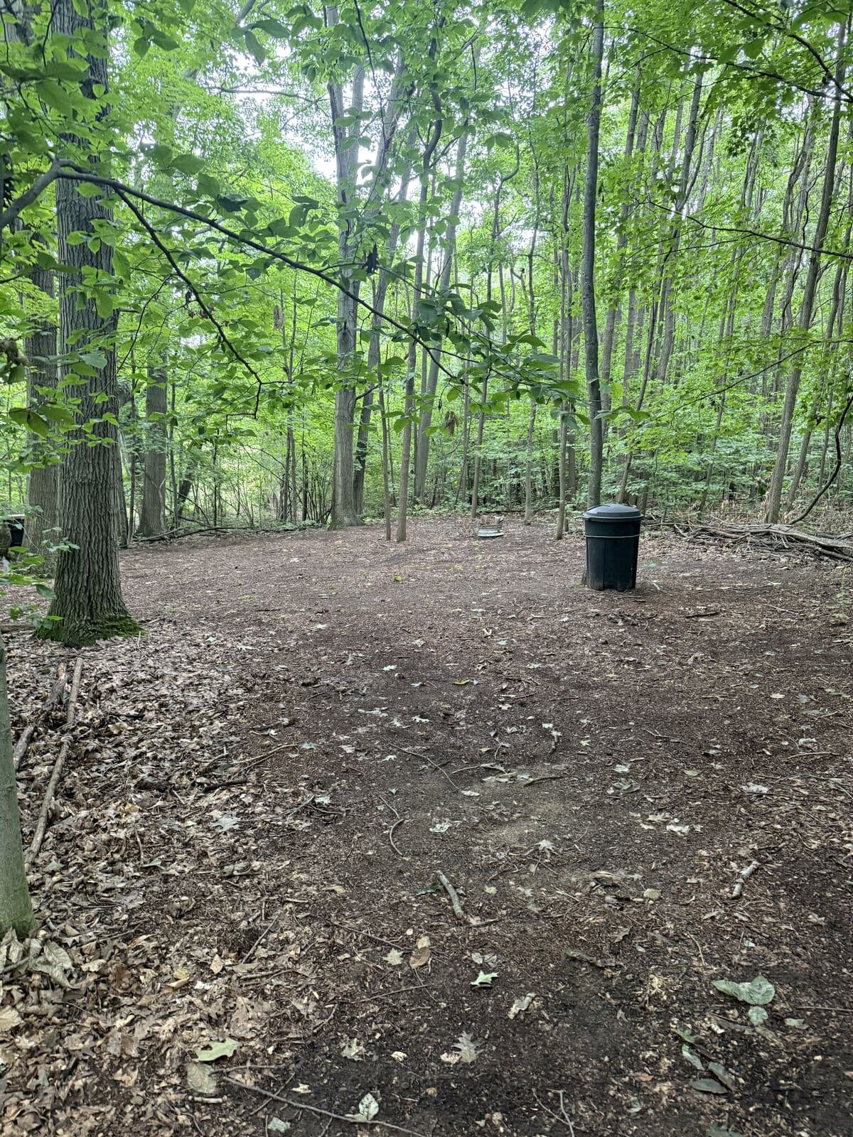 Campsite 1: a level clearing with a fire ring and a trash can