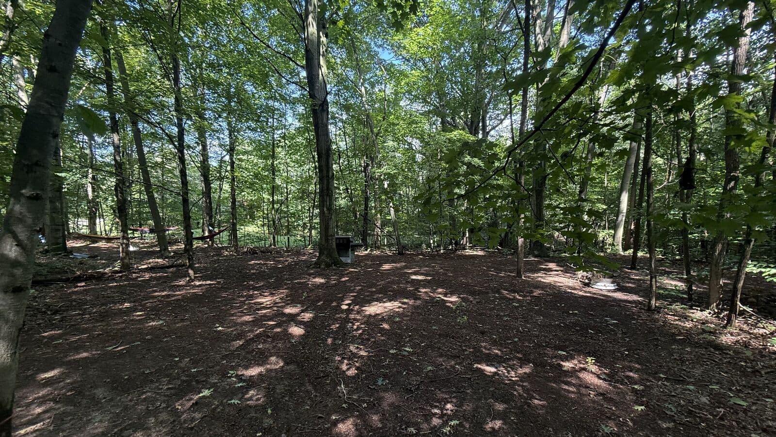 A wide clearing under tall hardwoods, with a grill, a fire ring and hammocks strung between the trees